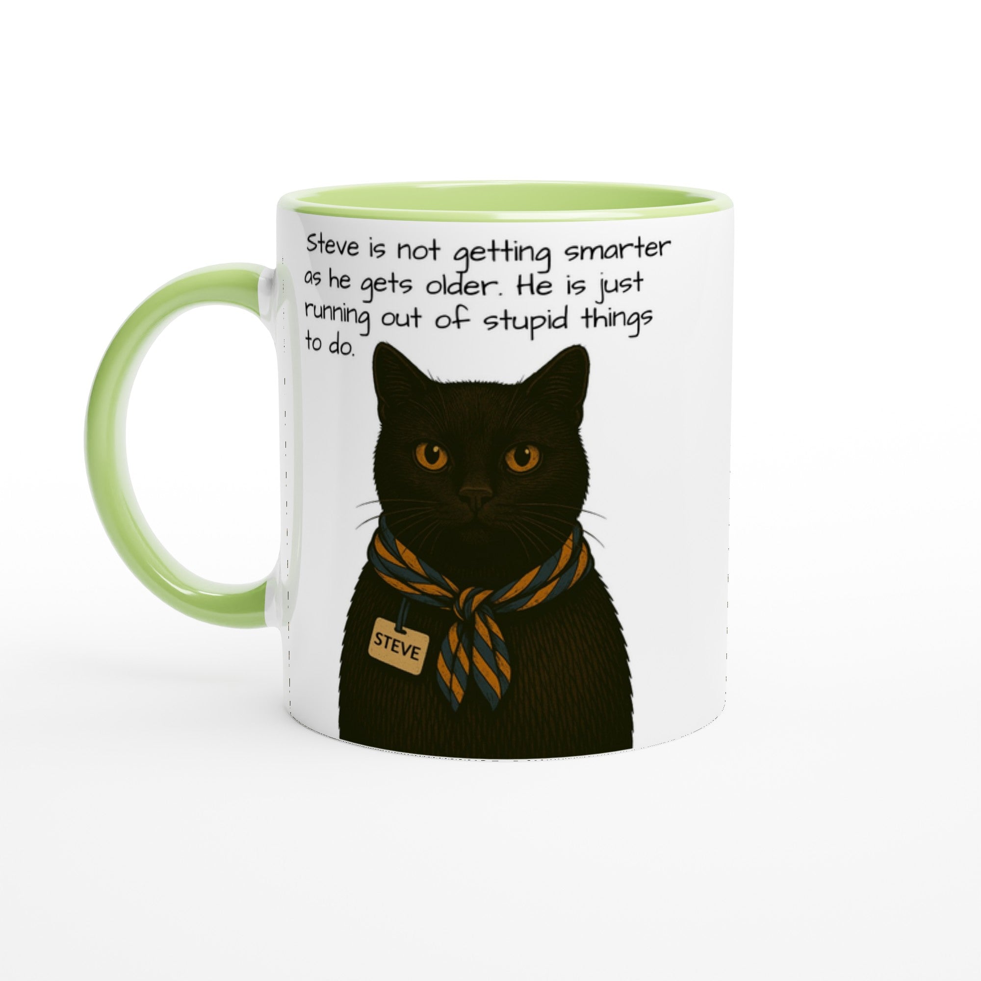 Steve Mysterious Cat Mug – Vintage Black Cat with Scarf – Funny 11oz Coffee Mug for Cat Lovers – Blank Name Tag – Quirky Animal Art Gift Ceramic Green