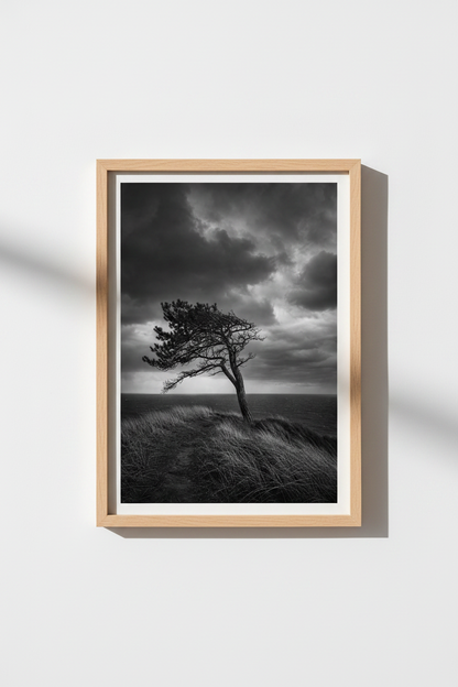 Moody Nature Wall Art Print | Black and White Tree Poster, Minimalist Coastal Decor