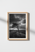 Moody Nature Wall Art Print | Black and White Tree Poster, Minimalist Coastal Decor