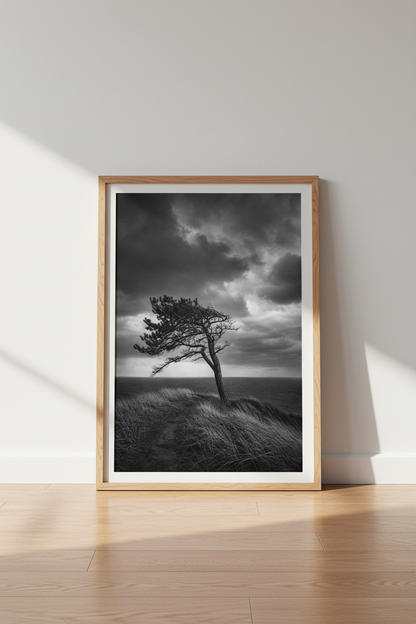 Moody Nature Wall Art Print | Black and White Tree Poster, Minimalist Coastal Decor