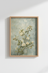 AppleBlossoms_Apples_6687490-195448-T8J_closeup_shot1.png
