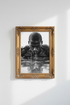 Athlete_Muscles_187047-174937-798_closeup_shot1.png