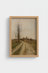 AvenueOfTrees_6020874-232515-GBO_closeup_shot1.png