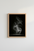 Ballerina_Motion_7009651-171242-QKY_closeup_shot1.png