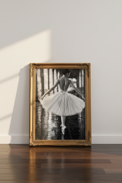 Ballet_Dancer_162433-174937-798_floor_shot2.png