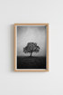 Nature Landscape Print | Black and White Lone Tree Poster, Minimalist Foggy Wall Art
