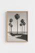 Basketball_PalmTrees_2149138_mockup1_closeup.png