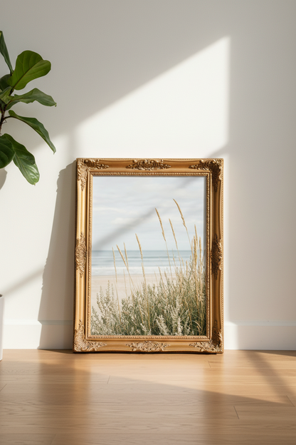 BeachGrass_Ocean_2849800-174937-798_floor_shot2.png