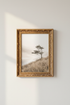 Beach_Grasses_Rock_509224-073756-15M_closeup_shot1.png