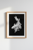 BettaFish_Pair_104550-135132-RWO_closeup_shot1.png