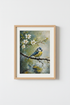 BirdDrinkingWater_7683319-110433-964_closeup_shot1.png