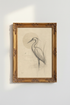 BirdsSketch_0744725-075257-M91_closeup_shot1.png