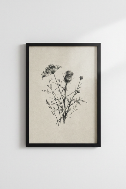 Vintage Thistle Botanical Sketch | Wildflower Neutral Poster | Farmhouse Wall Art