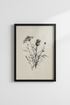 Vintage Thistle Botanical Sketch | Wildflower Neutral Poster | Farmhouse Wall Art