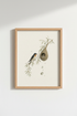 Birds_On_Branch_1603204-224935-GIF_closeup_shot1.png
