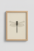 BlackButterfly_VintageArt_0322318-172001-0P0_closeup_shot1.png