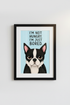 BlackCat_FoodQuestion_8138302-130426-HRQ_closeup_shot1.png