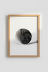 BlackCat_PaperBag_1017543-171242-QKY_closeup_shot1.png