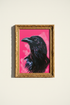 BlackCat_PinkBackground_5947731-073756-15M_closeup_shot1.png
