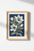 BlueFlowers_DarkBackground_4585315-191910-18H_closeup_shot1.png