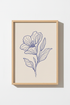 BlueLineFlower_2266746-095219-NSC_closeup_shot1.png