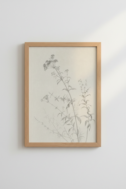 BotanicalDrawing_Vintage_9465818-172001-0P0_closeup_shot1.png