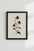 Black Echinacea Botanical Wall Art | Minimalist Ink Poster, Zen Bedroom Decor