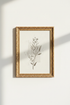 BotanicalPrints_Framed_8504896-075314-FCE_closeup_shot1.png