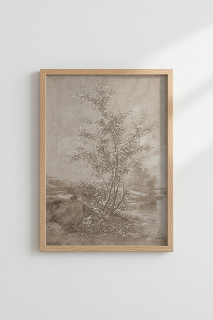 BotanicalStudy_Tree_4844439-224935-GIF_closeup_shot1.png