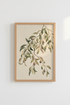 Botanical_Branch_4490048-224833-9PV_closeup_shot1.png