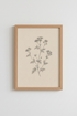 Botanical_Drawing_1350311-172001-0P0_closeup_shot1.png