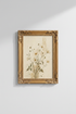 Botanical_Illustration_2393654-075306-PTO_closeup_shot1.png