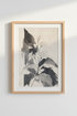 Botanical_Sketch_0400545-232515-GBO_closeup_shot1.png
