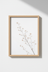 Branch_Blossoms_121913-171242-QKY_closeup_shot1.png