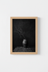 Moody Dark Still Life | Rustic Botanical Print, Black and White Wall Art