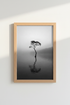 Bridge_Fog_1062531_mockup1_closeup.png
