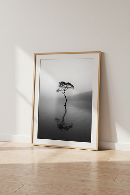 Bridge_Fog_1062531_mockup2_floor.png