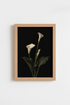Minimalist Calla Lily Wall Art Print | Living Room Decor | Elegant Poster