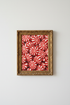 CandyCanes_8067245-174937-798_closeup_shot1.png
