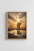 Cheetah_Sunset_128885-171242-QKY_closeup_shot1.png