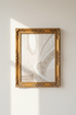 ClassicalArchitecture_496967-073756-15M_closeup_shot1.png