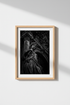 Dark Academia Wall Art | Gothic Statue Decor, Black and White Photography Poster