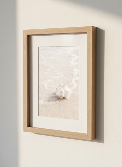 Minimalist Seashell Wall Art Print | Beach House Bedroom Decor | Coastal Aesthetic Poster | Ocean Photography Print
