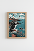 CoastalBird_Harbour_0507564-233932-F42_closeup_shot1.png