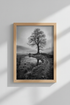 Moody Nature Wall Art | Black and White Tree Photography, Misty Landscape Poster