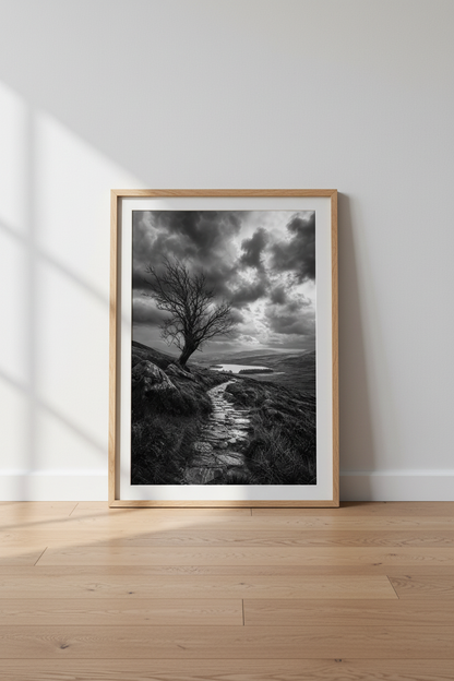 Moody Nature Wall Art | Black and White Landscape, Highland Tree Poster