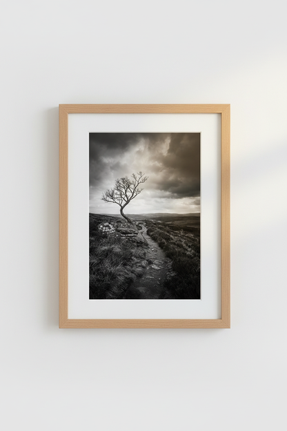 Moody Landscape Print | Black and White Tree Photography, Office Living Room Decor