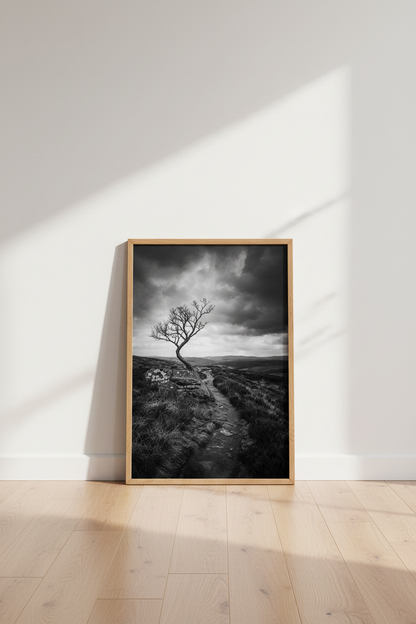 Moody Landscape Print | Black and White Tree Photography, Office Living Room Decor