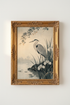 Crow_Blossoms_9603758-165855-6KF_closeup_shot1.png