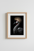 CrownedCrane_108947-135132-RWO_closeup_shot1.png